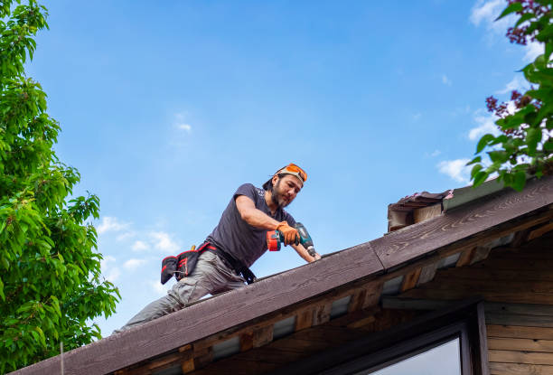 Best Solar Panel Roofing Installation  in Merrionette Park, IL